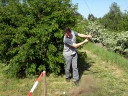 Crossgolfen