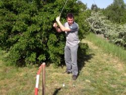 Crossgolfen