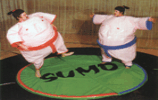 Sumo